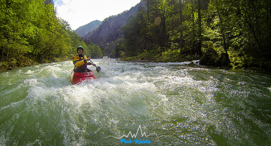 Salza, Mysia Perć, NorthQuest, OC-1