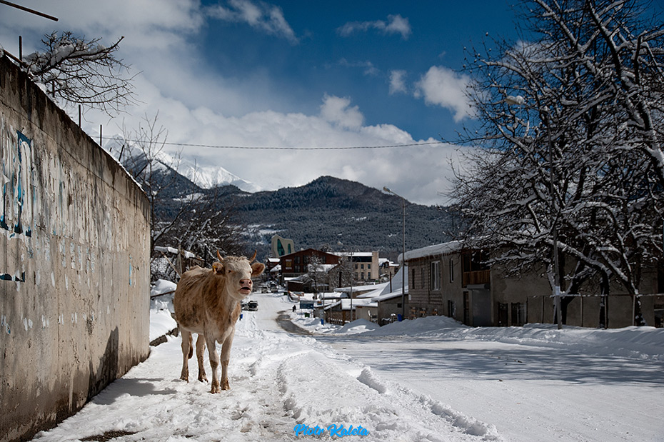 Mestia - Zuruldi - Tsvirmi