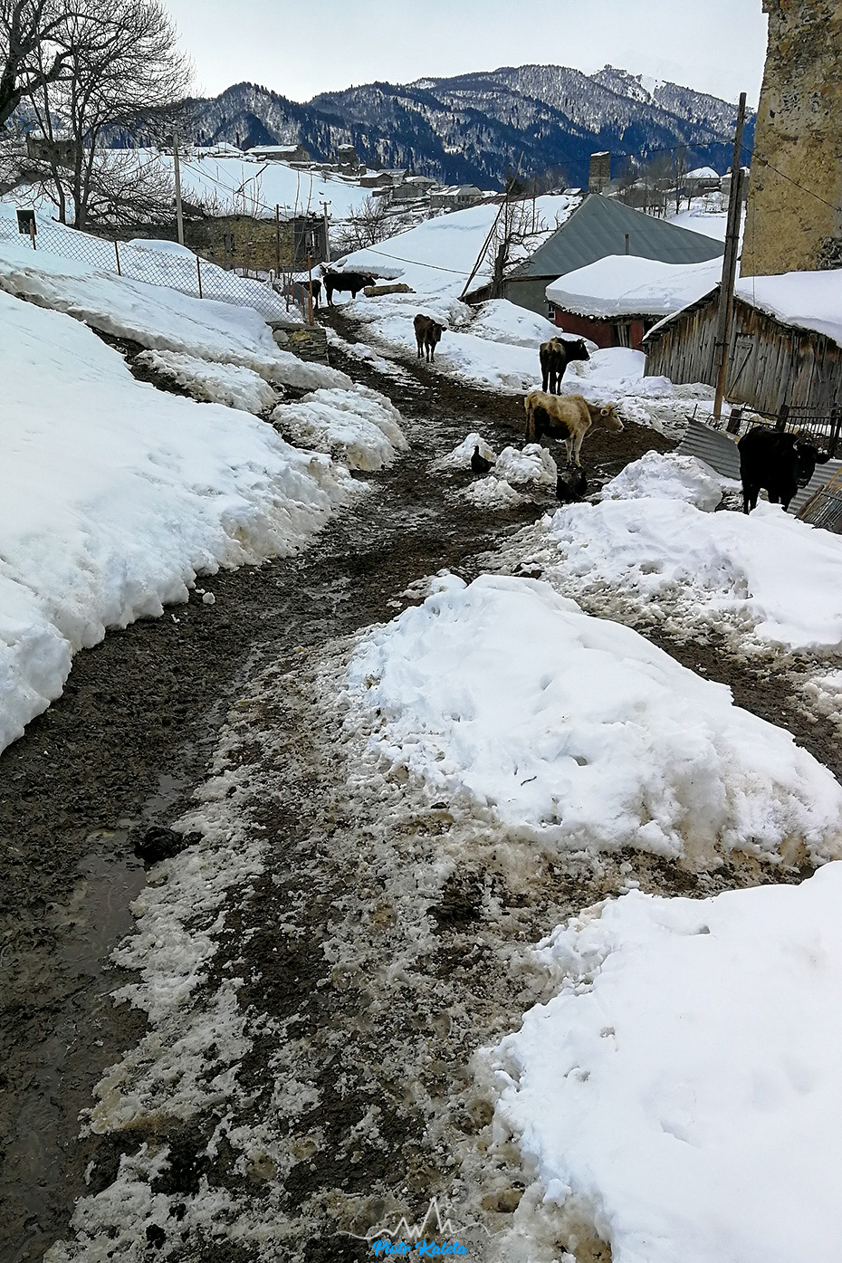 Mestia - Zuruldi - Tsvirmi