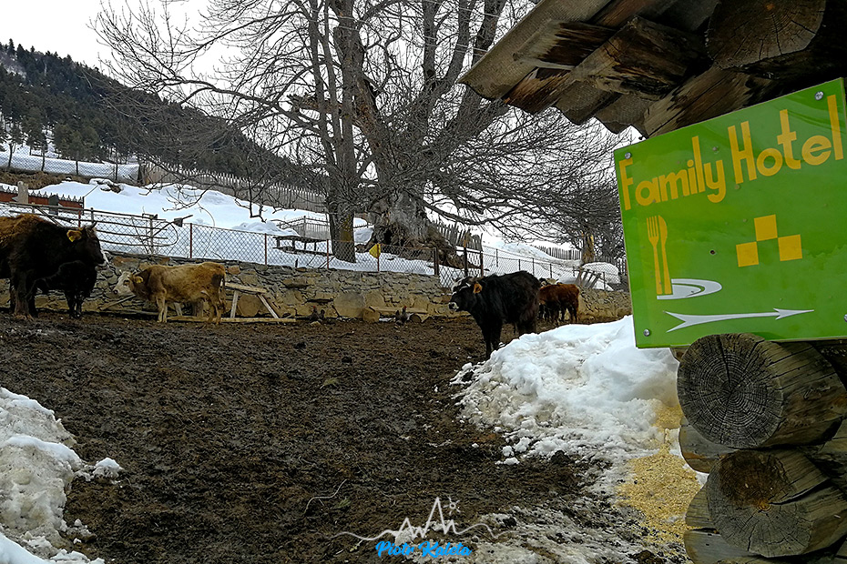 Mestia - Zuruldi - Tsvirmi