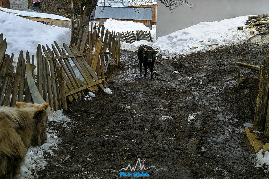 Mestia - Zuruldi - Tsvirmi