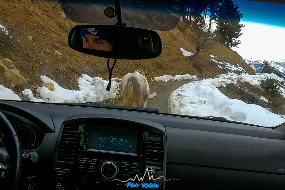 Mestia - Zuruldi - Tsvirmi